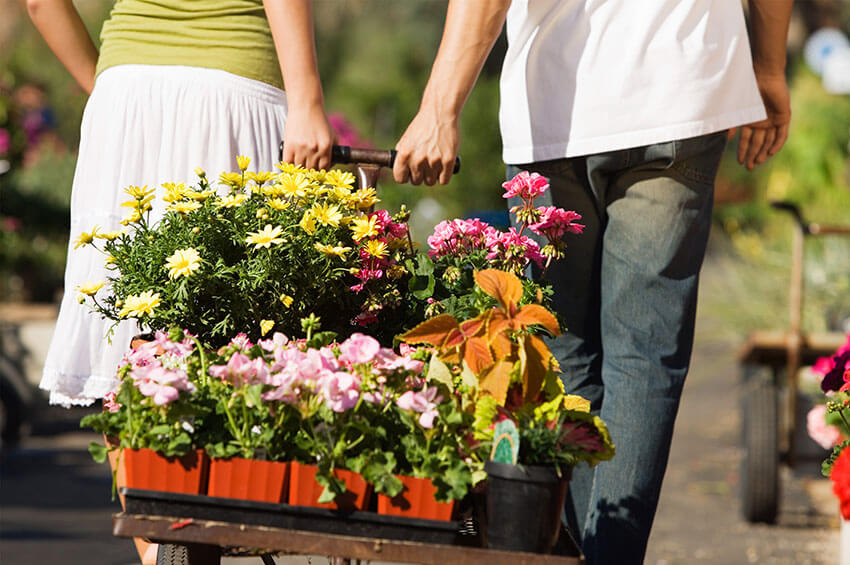 Couple pulling basket of flowers